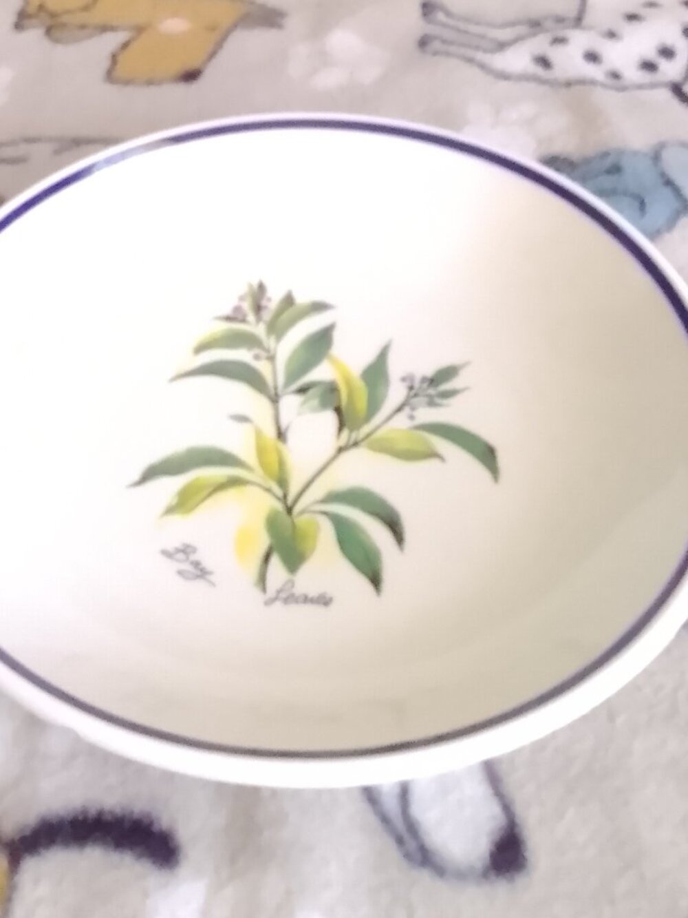 VINTAGE CERMIC LARGE PASTA BOWL FROM ITILY